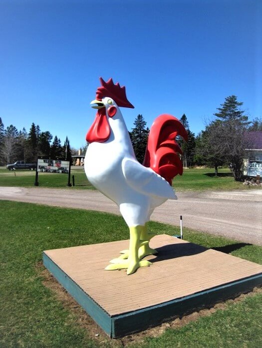 Lake Superior Roadside Attractions - Large Rooster