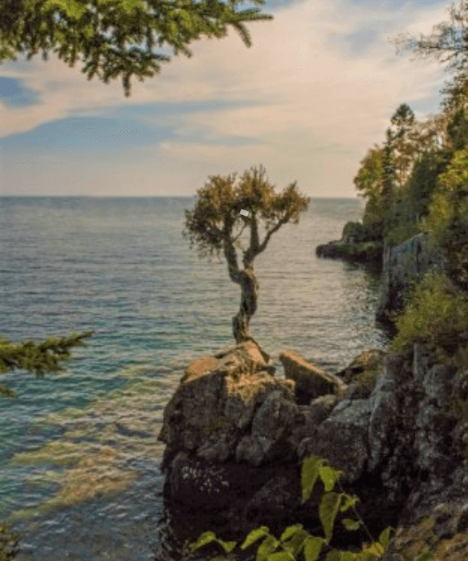 Lake Superior Natural Wonders - The Witch Tree